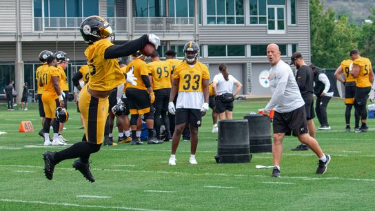 Don't shovel dirt on the Steelers, Roethlisberger just yet taken on the South Side (Steelers)